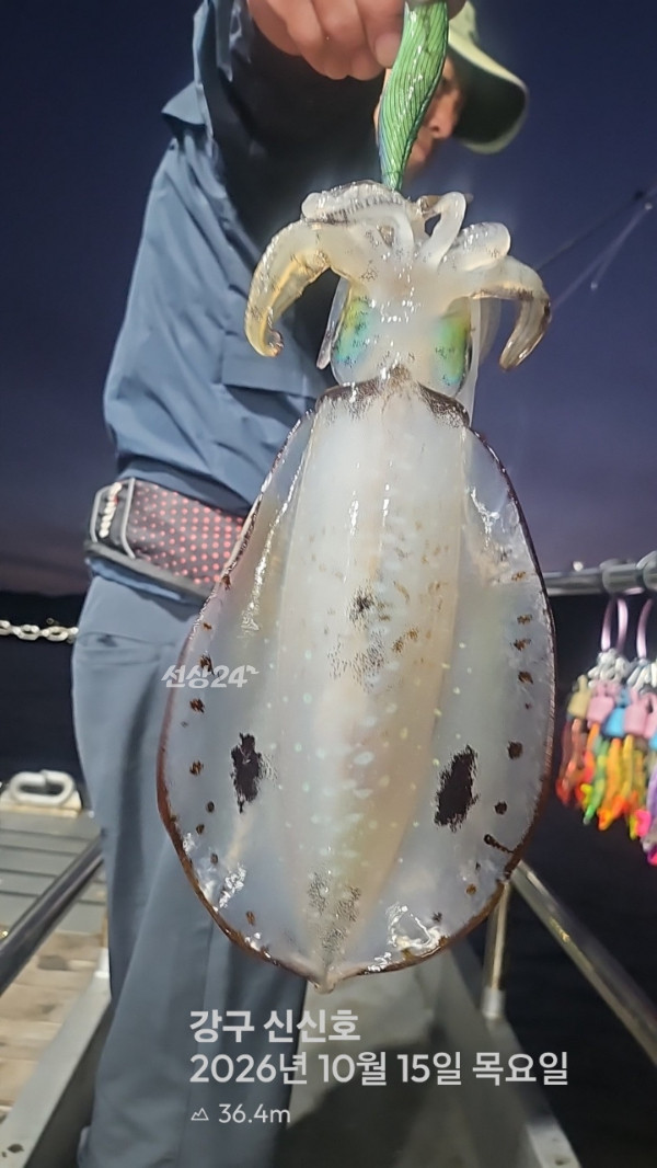 신신낚시 강구점 신신호_사진_20261016_7.jpg