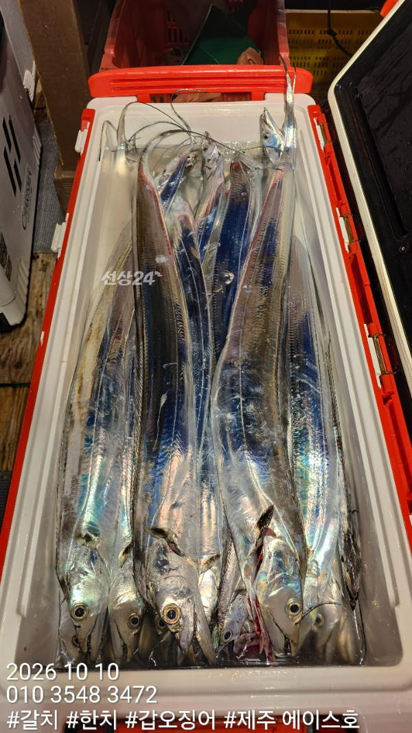 KakaoTalk_20261010_132736824_05.jpg