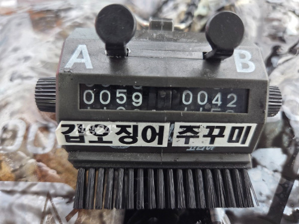 25083.jpg