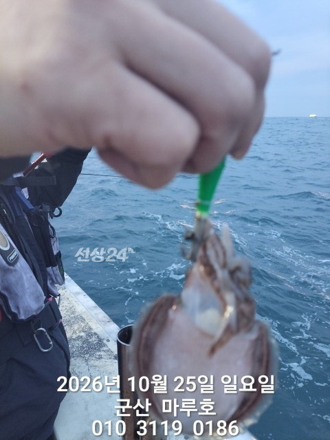 KakaoTalk_20261025_163308652_08.jpg