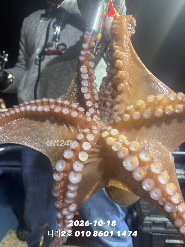 A2EBAA51-C2A3-4021-B184-AD75613774D0.jpeg