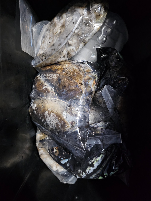 1000076708.jpg