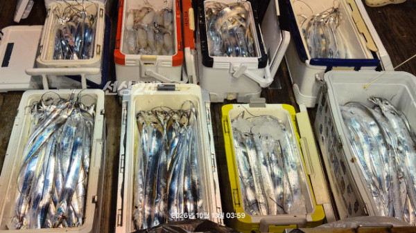 1004피싱_사진_20261013_4.jpg