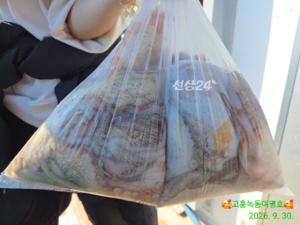 쎄븐피싱클럽(선상 버스출조전문)_사진_20260930_6.jpg