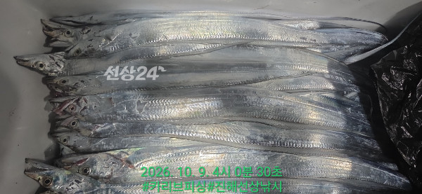 1000086724.jpg