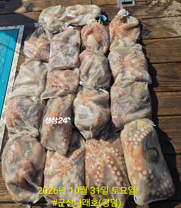27059.jpg