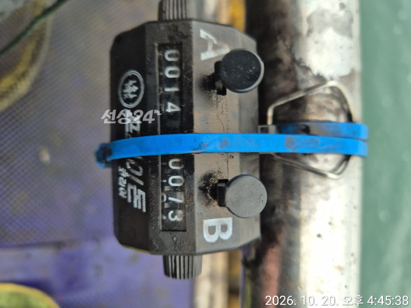 7703.jpg