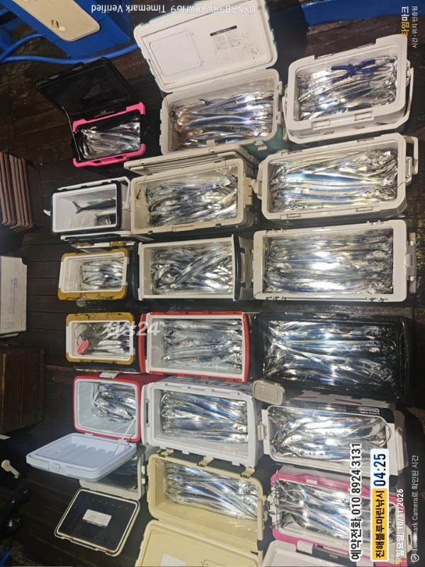 20261011_042548_Japan_제목-진해블루마린낚시_글꼴-예약전화 010 8924 3131.jpg