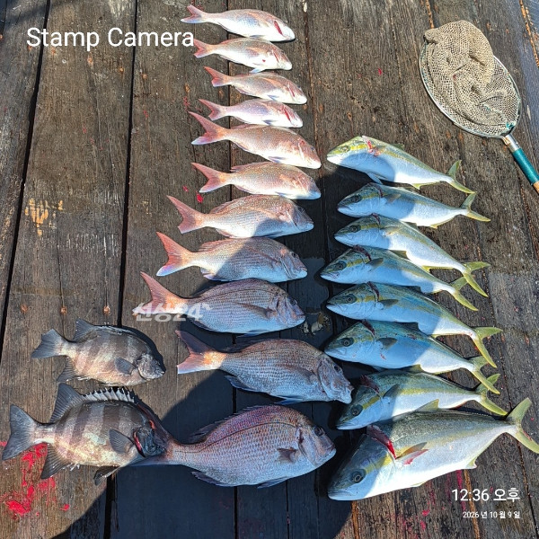 StampCamera20261009123630.jpg