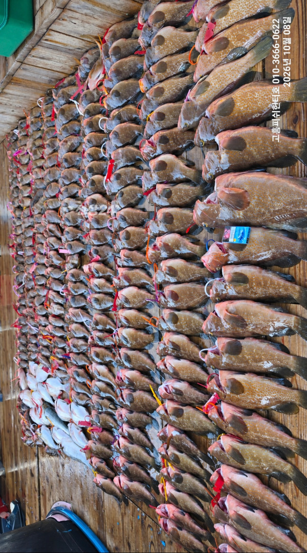 32440.jpg