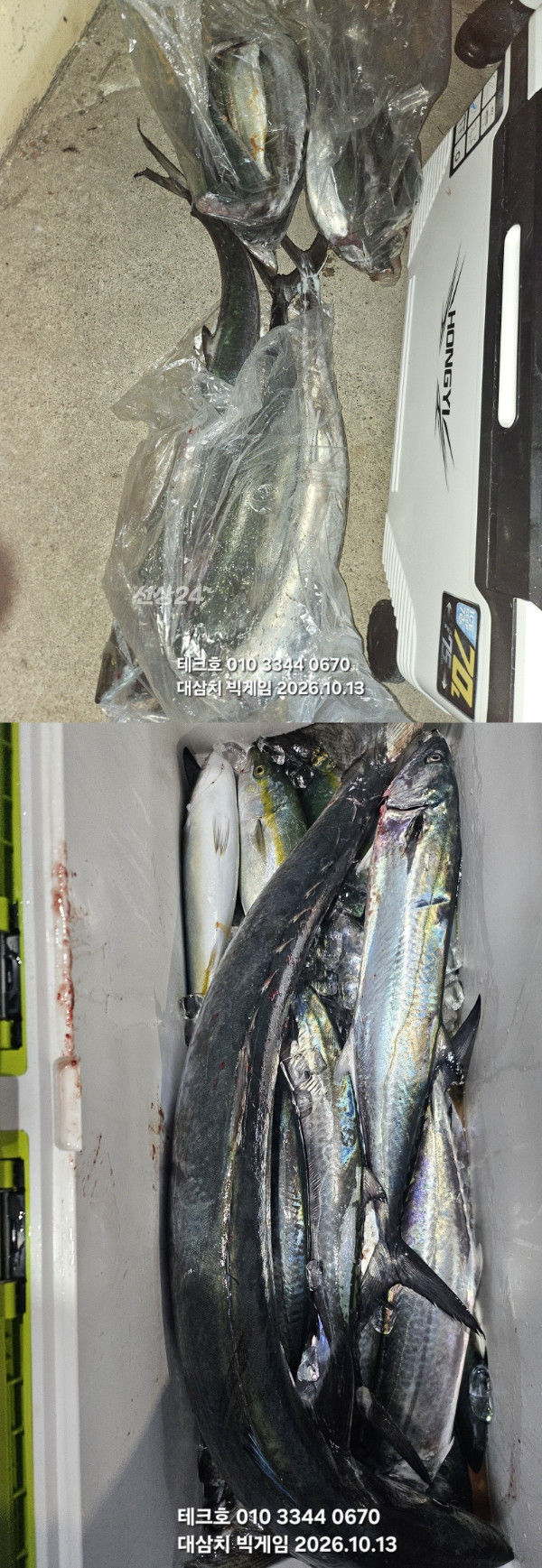 KakaoTalk_20261013_183245728-vert.jpg
