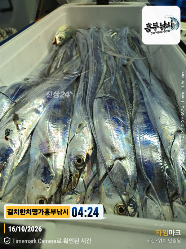 20261016_042411_Japan_제목-갈치한치명가흥부낚시.jpg