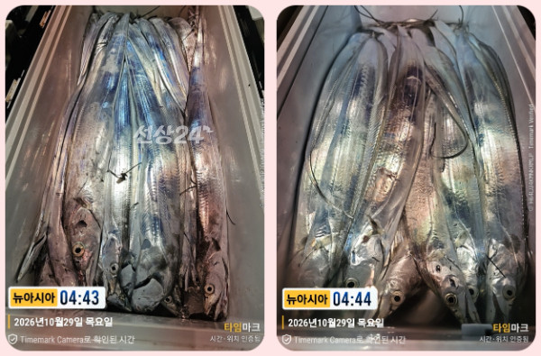 KakaoTalk_20261029_061804866_25-tile.jpg