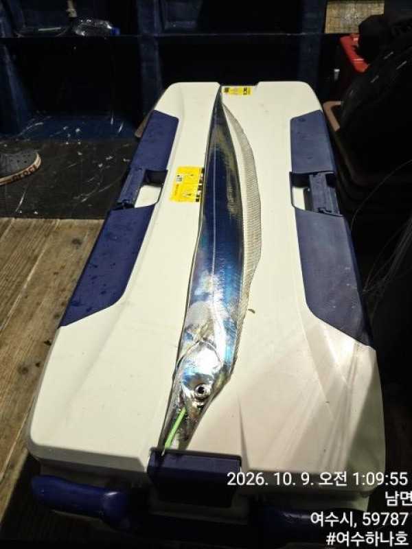 KakaoTalk_20261009_050314149_01.jpg