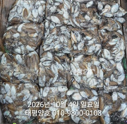 KakaoTalk_20261005_165525659.jpg