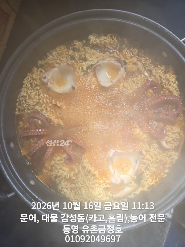 1000062696.jpg