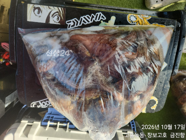 1000056559.jpg