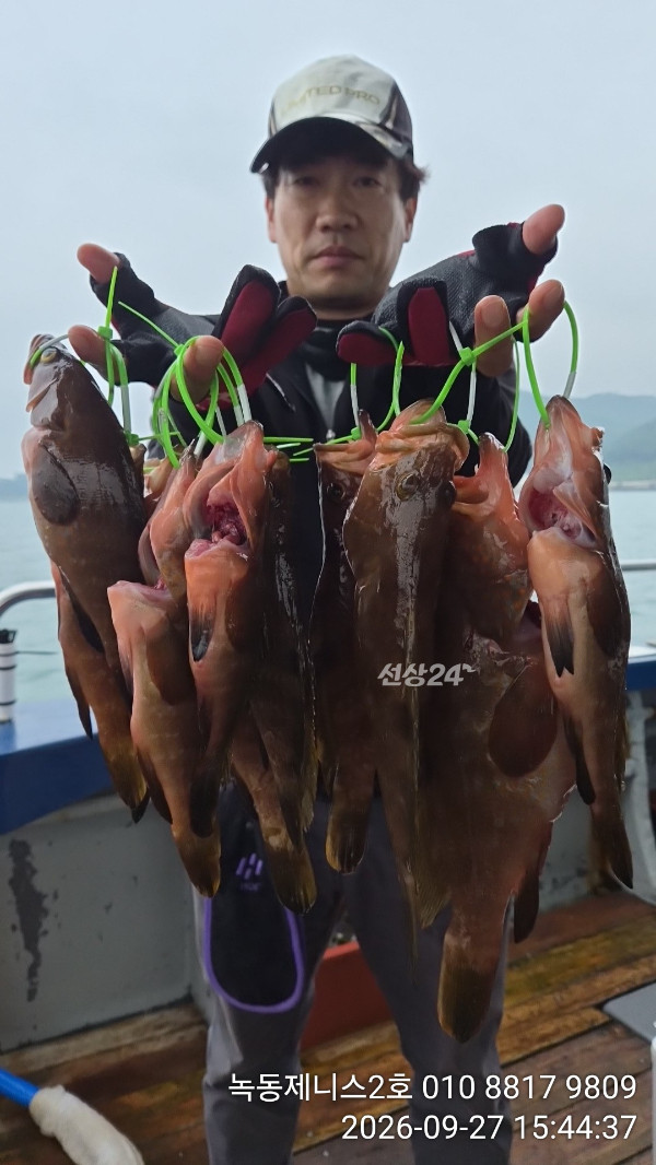 50440.jpg