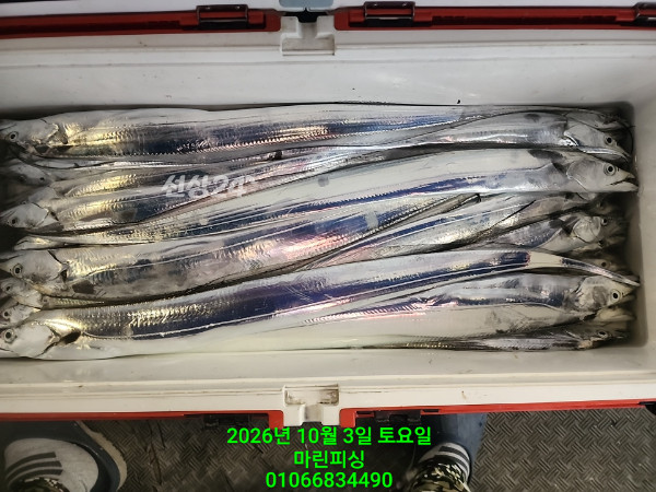 KakaoTalk_20261003_062103636_14.jpg