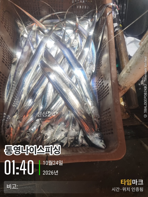 20261024_014042_글꼴-통영나이스피싱.jpg