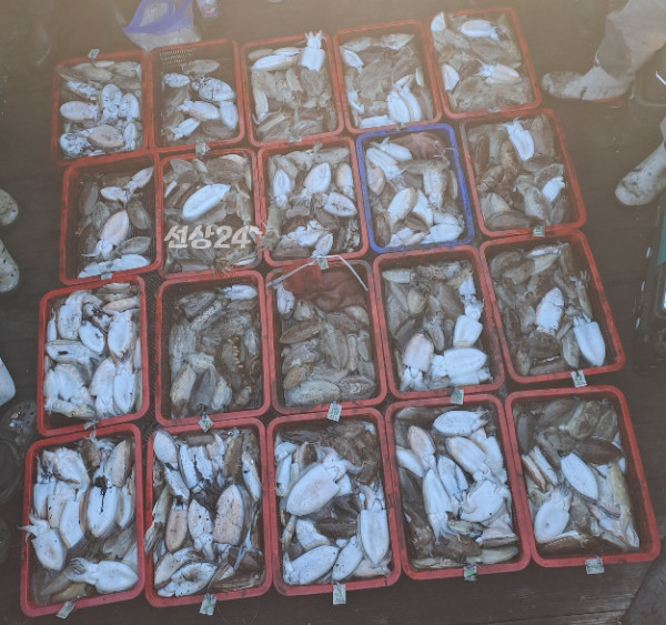 1000031758.jpg
