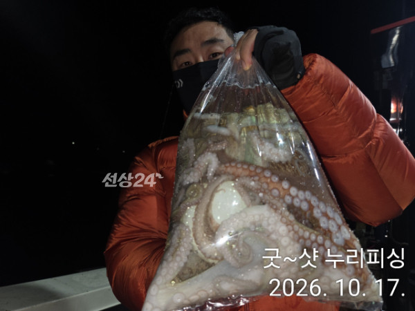 100475.jpg