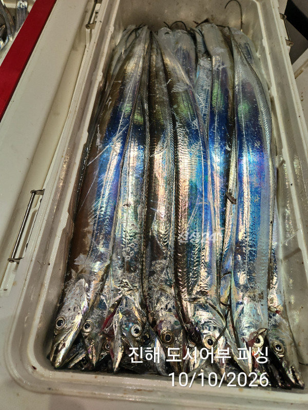 KakaoTalk_20261010_043600356_13.jpg