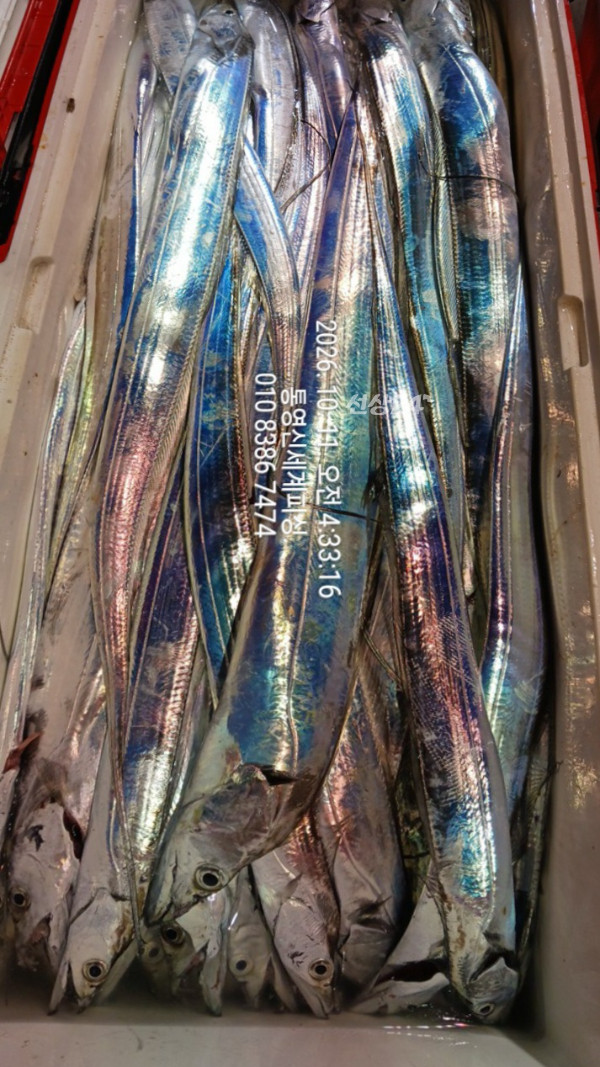 1791666135189.jpg