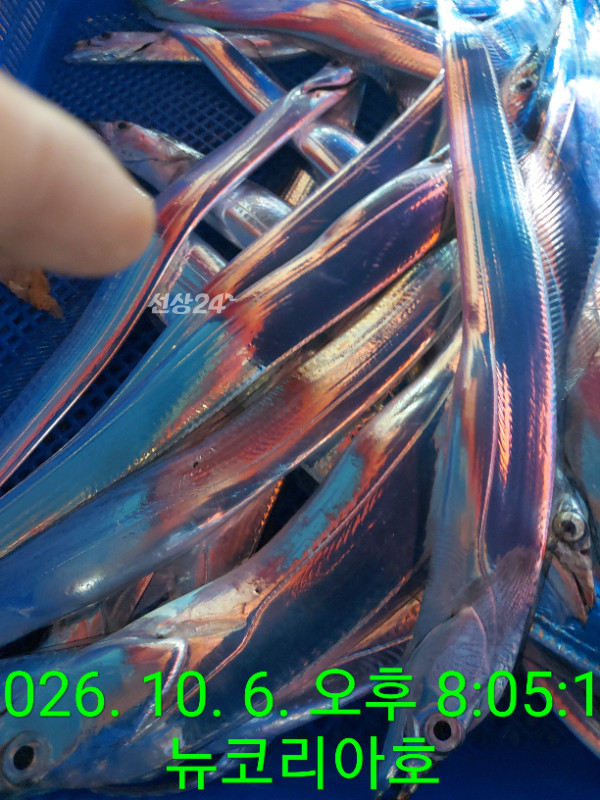 1000087025.jpg