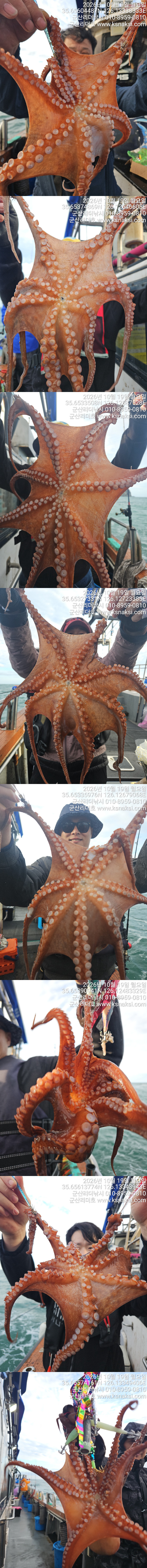 1019리더문어실시간.jpg