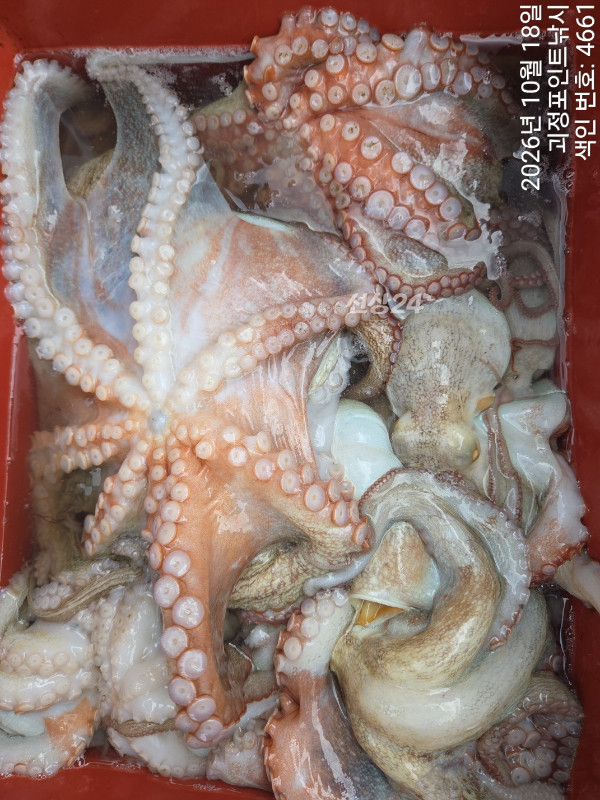 KakaoTalk_20261018_163900691_06.jpg