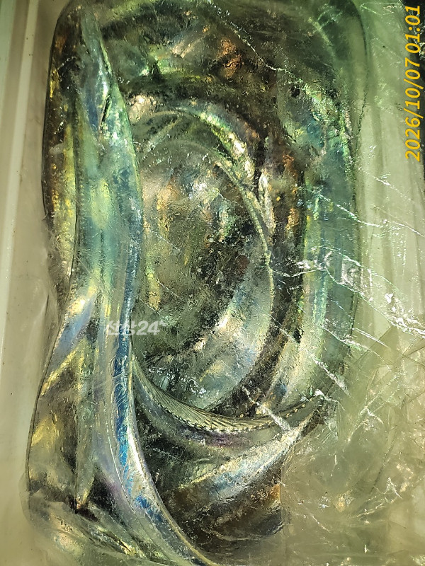 1000037195.jpg
