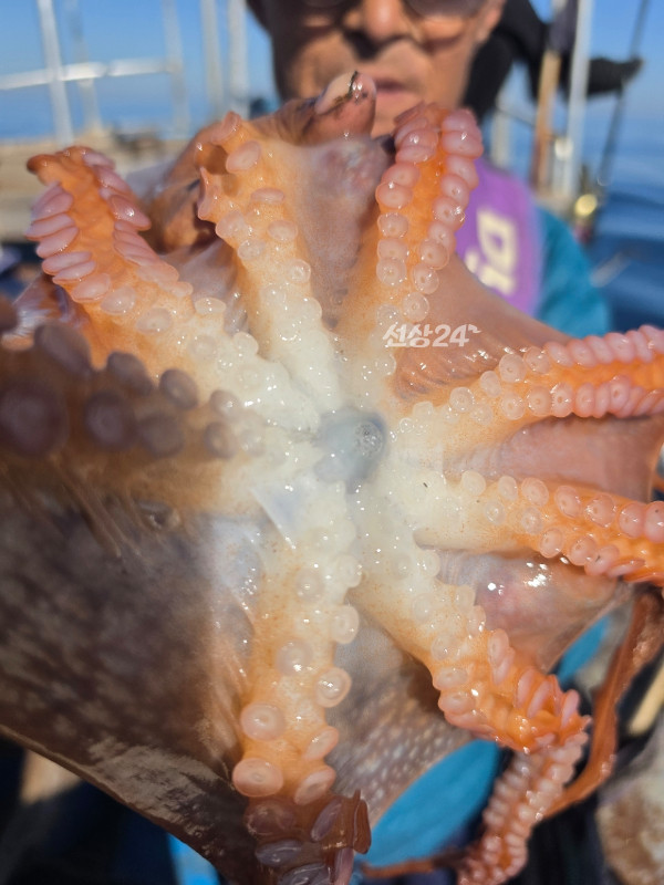 E28138CE-9E13-409C-886B-CDC0F1C8C2D3.jpeg