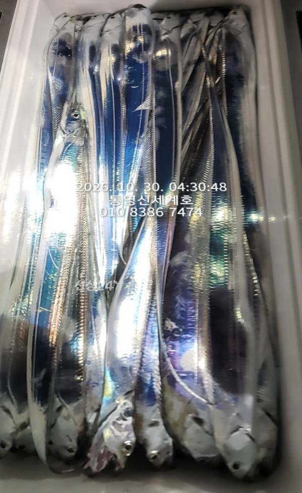1793310004832.jpg