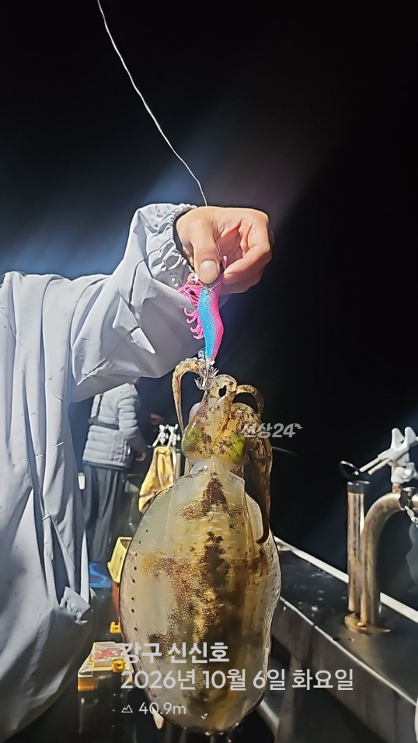 신신낚시 강구점 신신호_사진_20261007_7.jpg