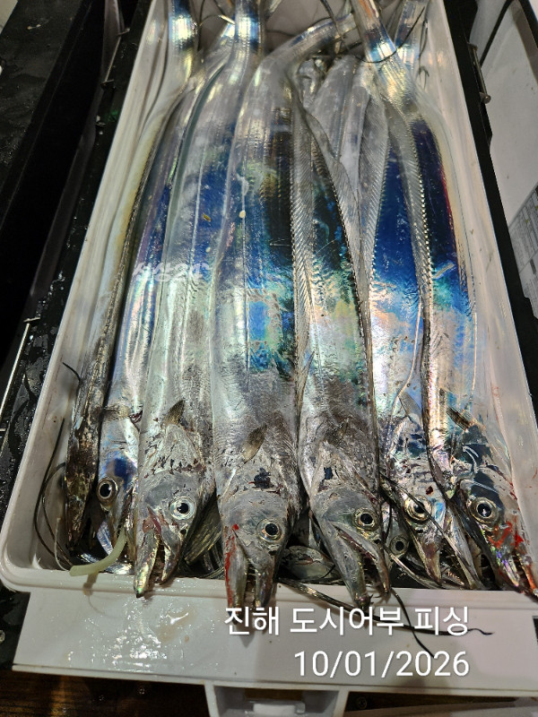 KakaoTalk_20261001_064438979_16.jpg