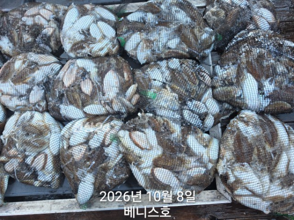 KakaoTalk_20261008_165046734_03.jpg