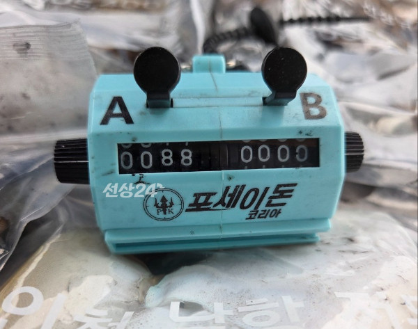 24447.jpg