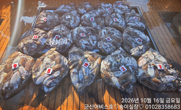1000031933.jpg