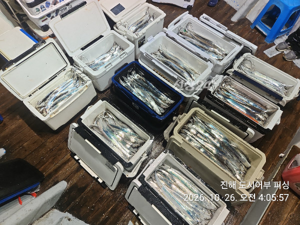 KakaoTalk_20261026_053740517_15.jpg