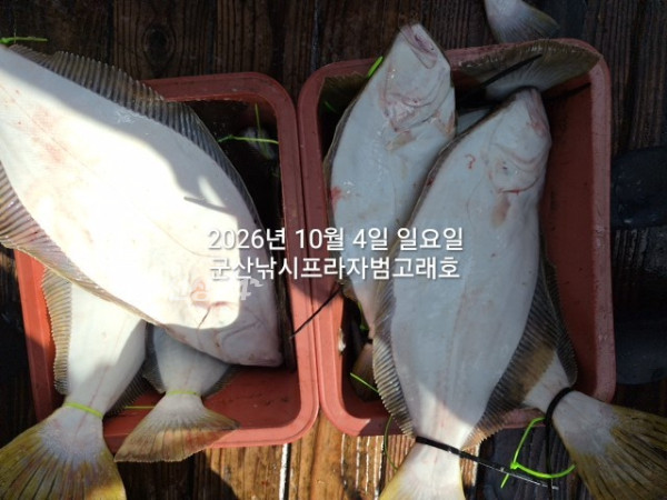 KakaoTalk_20261004_155855857_08.jpg