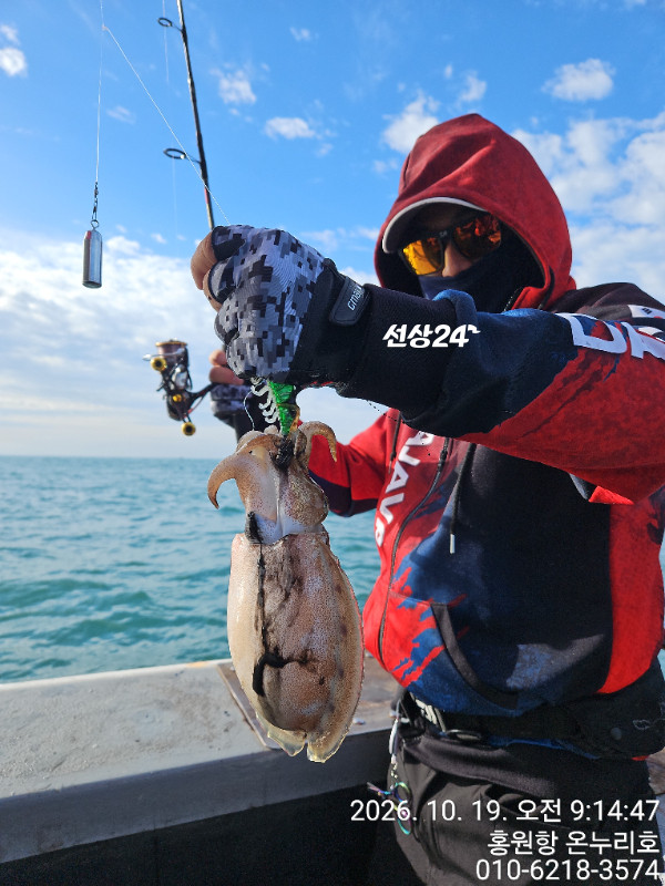 TimePhoto_20261019_091447.jpg