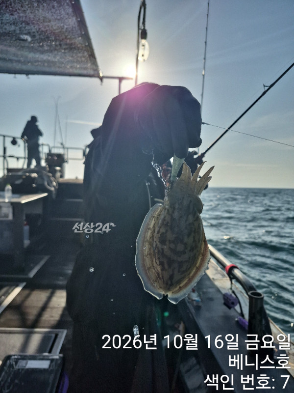 KakaoTalk_20261016_192837708_19.jpg