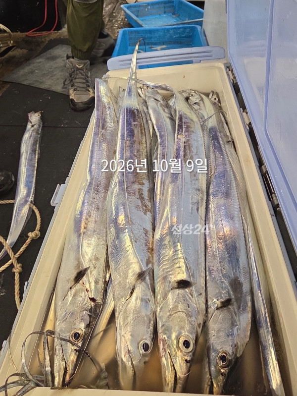 F56ED173-397F-49A2-AC6D-DC56D1DB9D8E.jpeg