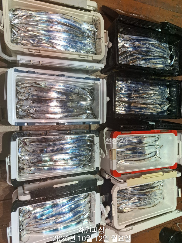 1000037317.jpg