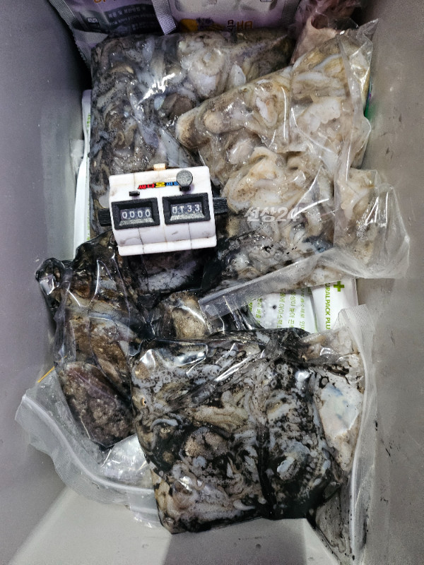 1000075486.jpg