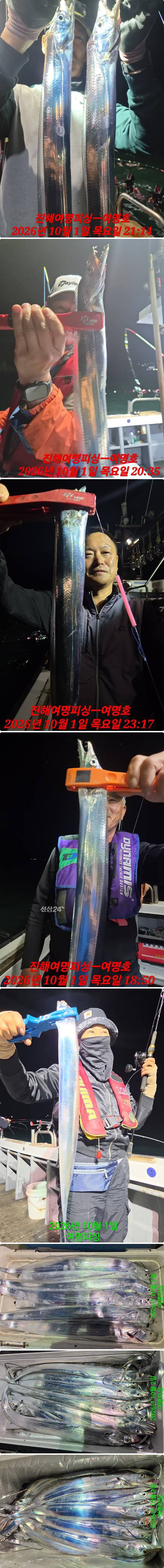 2일갈치하.jpg