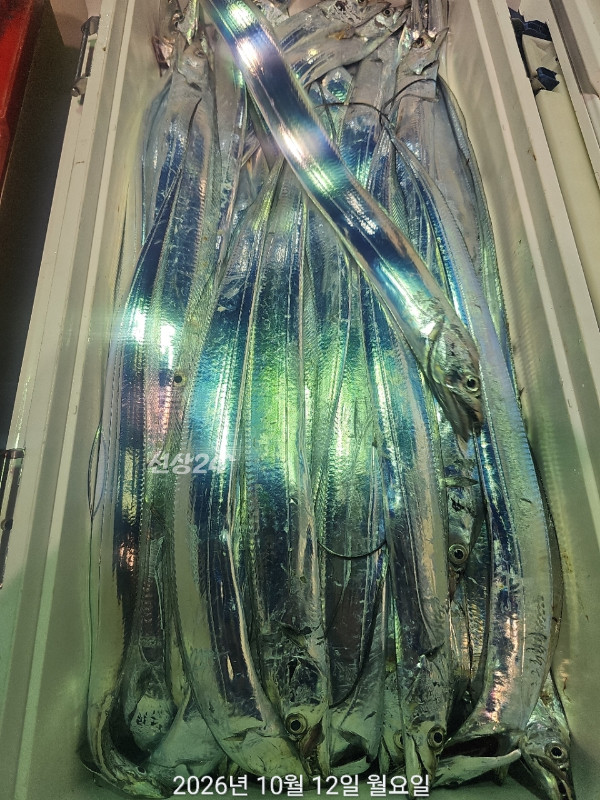 7B7799D2-87EC-487A-AE08-73414C0C3675.jpeg