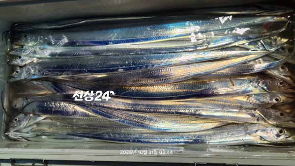 1004피싱_사진_20261031_9.jpg