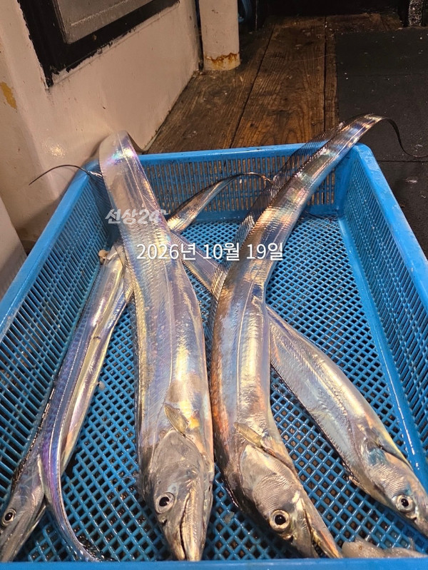3D334072-757E-4165-B0F7-D78FB240CFF3.jpeg